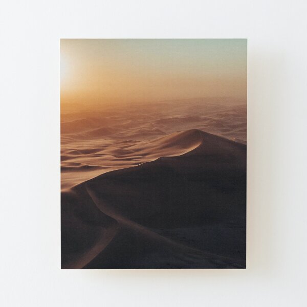 Skeleton Coast Wood Mounted Print