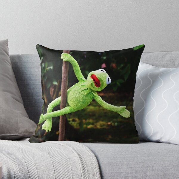 outdoor frog pillows