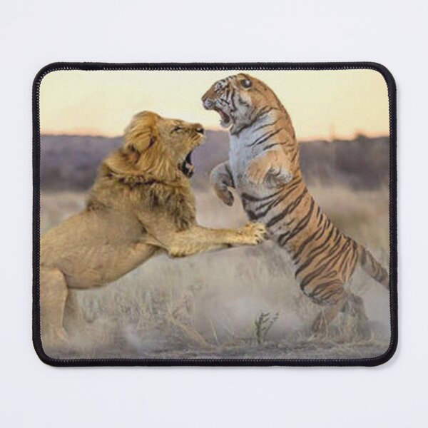 Item preview, Lion Tiger fight designed and sold by GoddessParvatiSati.