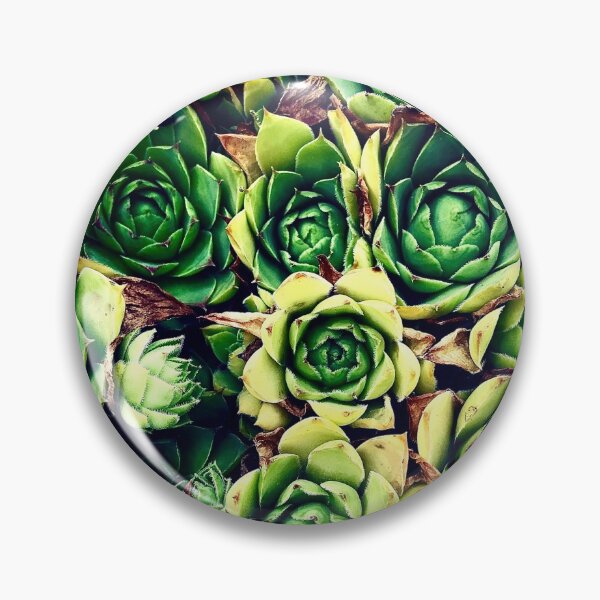Item preview, Succulent designed and sold by RalucaRo.