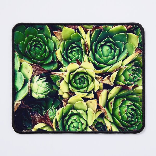 Item preview, Succulent designed and sold by RalucaRo.