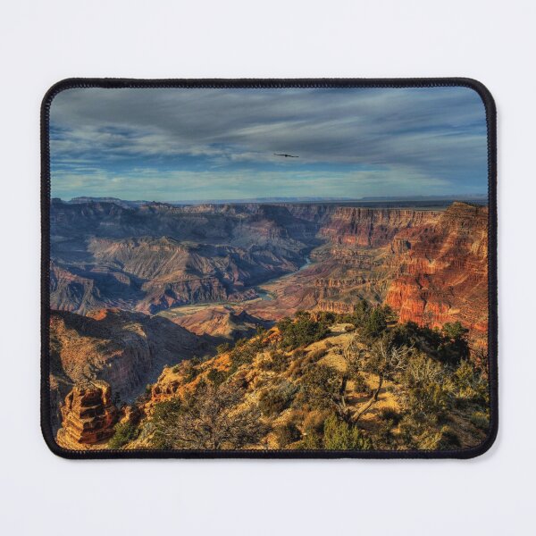 Item preview, Desert Garden designed and sold by K D Graves Photography.