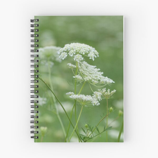 Item preview, Queen Anne's Lace designed and sold by Ben Waggoner.