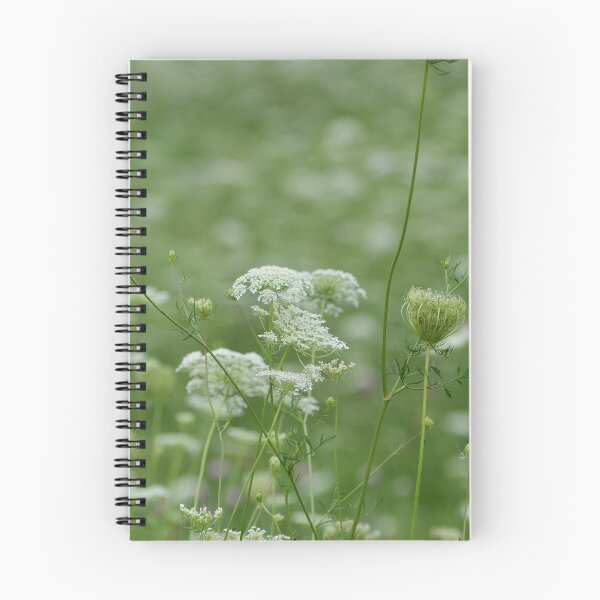 Item preview, Sea of Queen Anne's Lace designed and sold by Ben Waggoner.