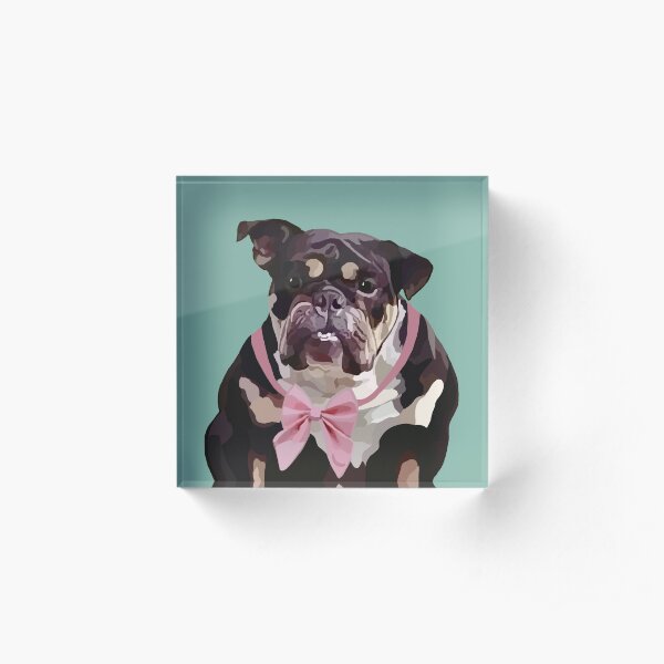 Chonk for Jax Acrylic Block