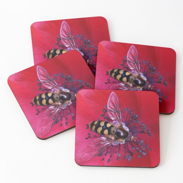 Item preview, Hoverfly on a Poppy.  designed and sold by Bumpulous.