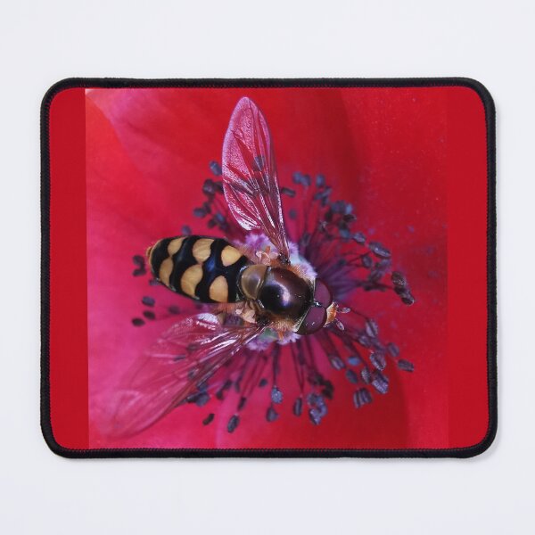 Item preview, Hoverfly on a Poppy.  designed and sold by Bumpulous.