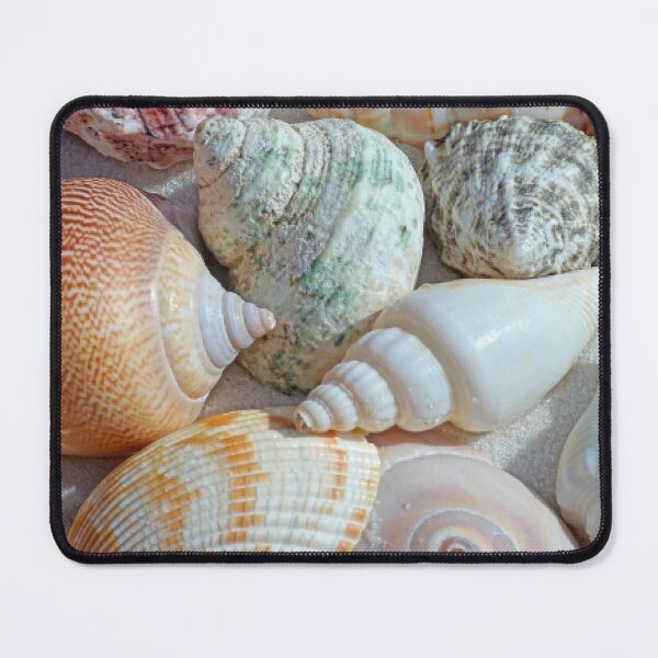 Item preview, SHELLS. designed and sold by barasha1111.