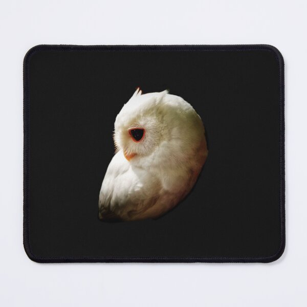 Item preview, Albino Screech Owl designed and sold by Dead-Moroz.
