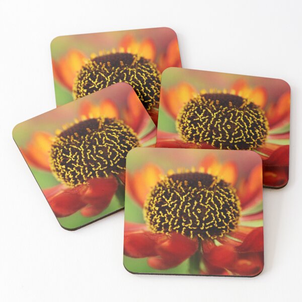 Item preview, Helenium Fire designed and sold by SharonJ.