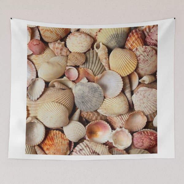 Item preview, COLORFUL SHELLS. designed and sold by barasha1111.