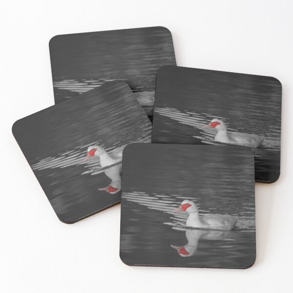 Item preview, Muscovy Red Face Duck Duck Go Ducks designed and sold by Jason Gilbert.