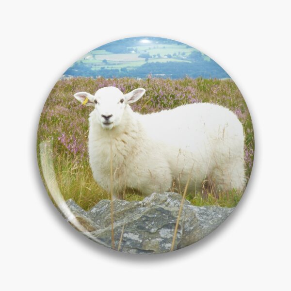 Item preview, Happy To See Ewe designed and sold by Haloproductions.