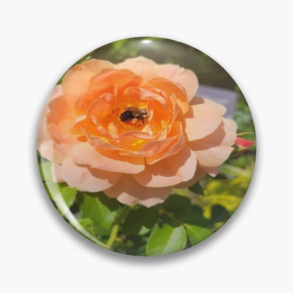Item preview, Rose designed and sold by designsbycathan.