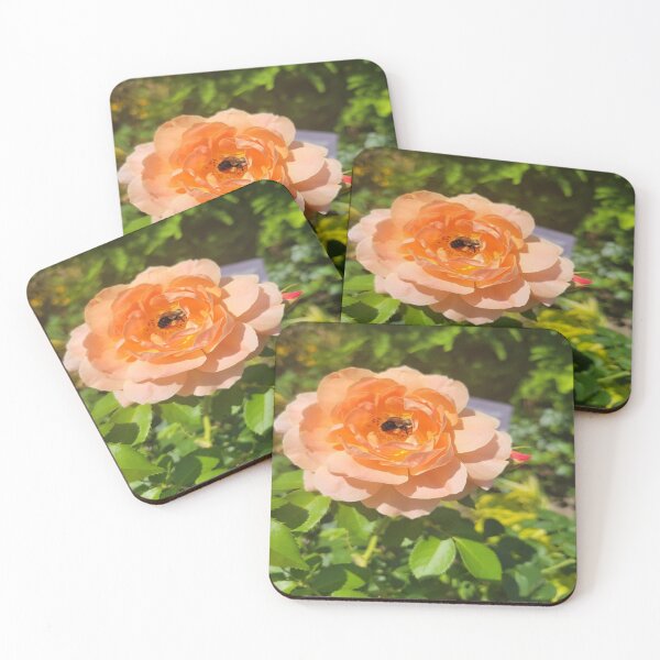Item preview, Rose designed and sold by designsbycathan.