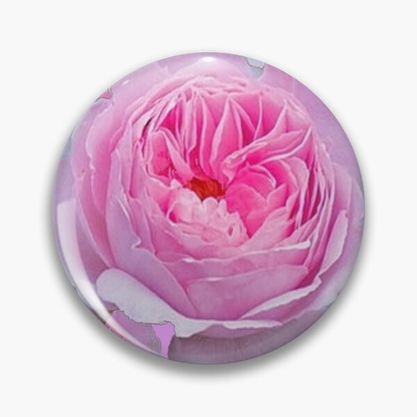 Artikelvorschau, ALL PINK-WHITE GARDEN ROSE PINK ART entworfen und verkauft von sharlesart.