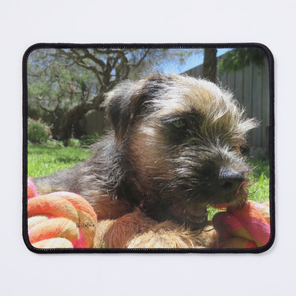 Item preview, Baby pet designed and sold by AHELENE.
