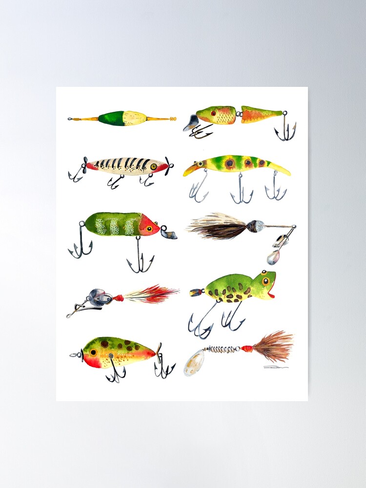 Vintage 1800s Angling Fly Fishing Flies Lures Lure Poster, Zazzle