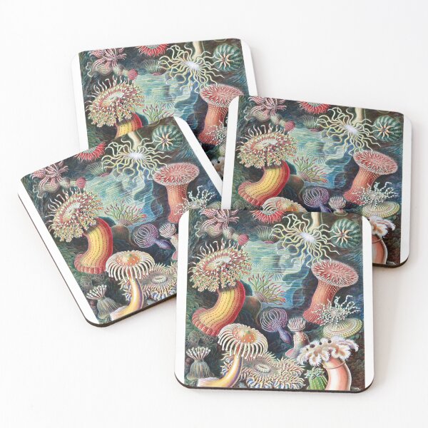 Item preview, Ernst Haeckel interpretation of Anemone designed and sold by STEM-women.