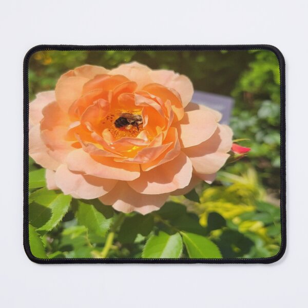 Item preview, Rose designed and sold by designsbycathan.