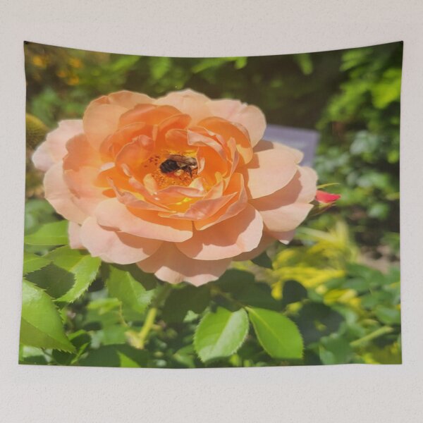 Item preview, Rose designed and sold by designsbycathan.