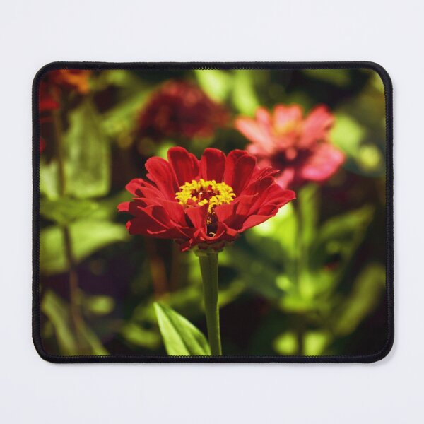 Item preview, Despite September designed and sold by Melanie Uadjit.
