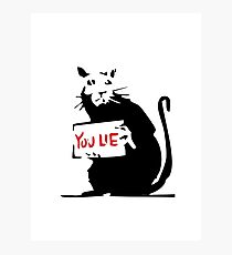 rat love Photographic Print