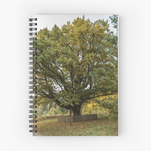 Item preview, Oldest oaks in Lithuania designed and sold by Geraldas Galinauskas.