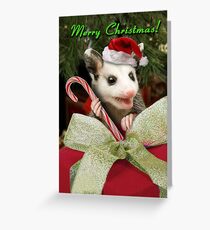 Christmas Opossum Greeting Card