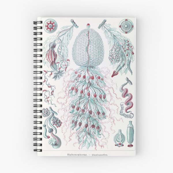 Item preview, Ernst Haeckle Interpretation of Siphonophores designed and sold by STEM-women.