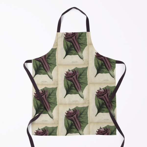 Item preview, Devil's Trumpet, or Datura fastuosa designed and sold by Lloyd Library & Museum.