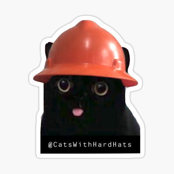 Catwithhardhat Shop