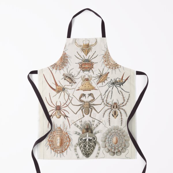 Aperçu de l'œuvre Collection d'araignées par Ernst Haeckel créée et vendue par STEM-women.