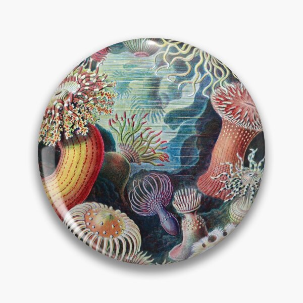 Item preview, Ernst Haeckel interpretation of Anemone designed and sold by STEM-women.
