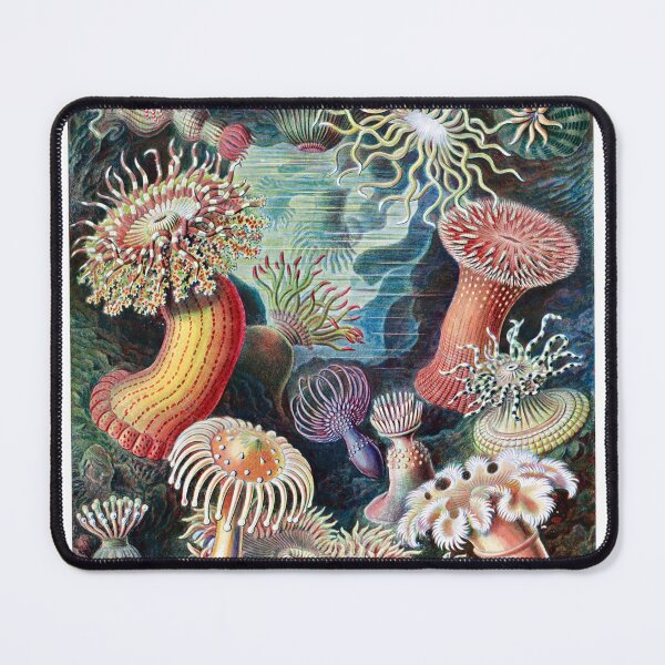 Item preview, Ernst Haeckel interpretation of Anemone designed and sold by STEM-women.