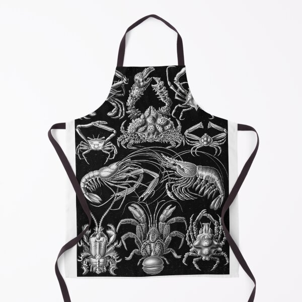 Item preview, Decapod collection designed and sold by STEM-women.