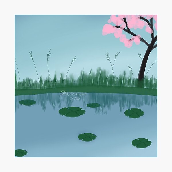 Pond with sakura tree Photographic Print