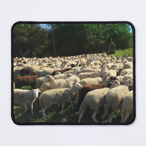 Item preview, Sheeps designed and sold by AHELENE.