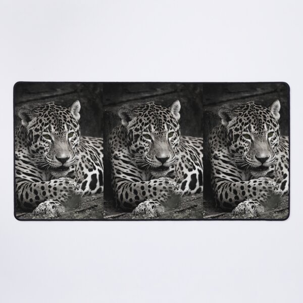 Item preview, Reposed Jaguar Portrait  designed and sold by KbytesOfJax Outdoor and Nature.