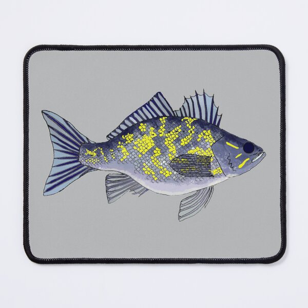 Item preview, Lopez Island Rockfish designed and sold by fishfolkart.