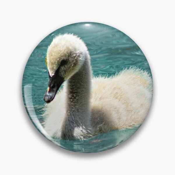 Item preview, Black Swan Cygnet Swimming Portrait designed and sold by Anna Lemos.