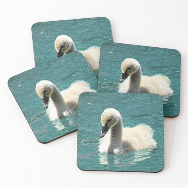 Item preview, Black Swan Cygnet Swimming Portrait designed and sold by Anna Lemos.