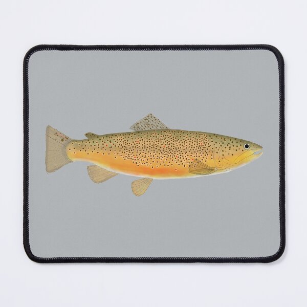 Item preview, Brown Trout designed and sold by fishfolkart.