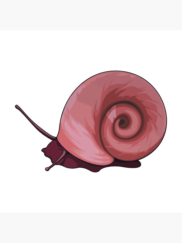 Topick Aquarium - Red Ramshorn Snail