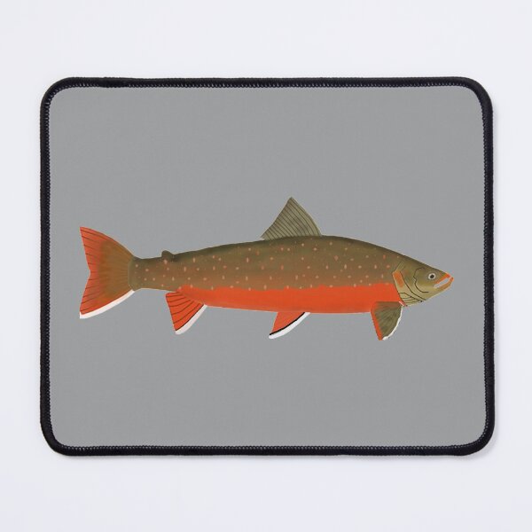 Item preview, Arctic Char designed and sold by fishfolkart.
