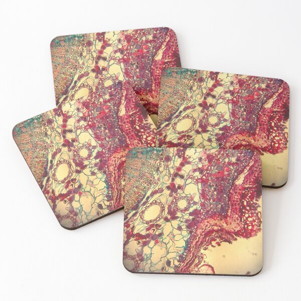Item preview, Plant microscopy 2 designed and sold by Peacemountain Adventures.