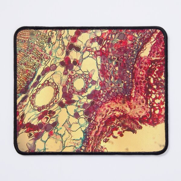 Item preview, Plant microscopy 2 designed and sold by Peacemountain Adventures.