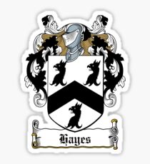 Hayes (Donegal) Sticker