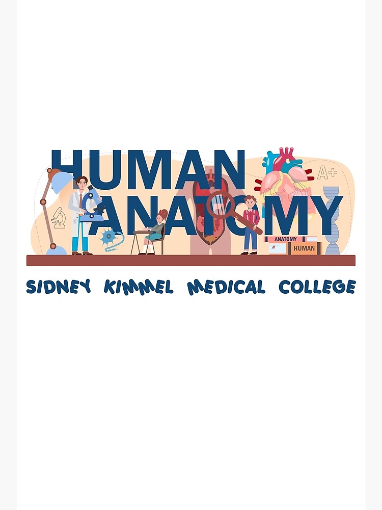 "Sidney Kimmel Medical College" Poster by FunyFun Redbubble