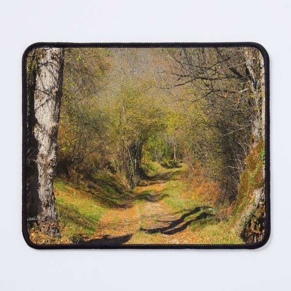 Item preview, Forest path designed and sold by AHELENE.
